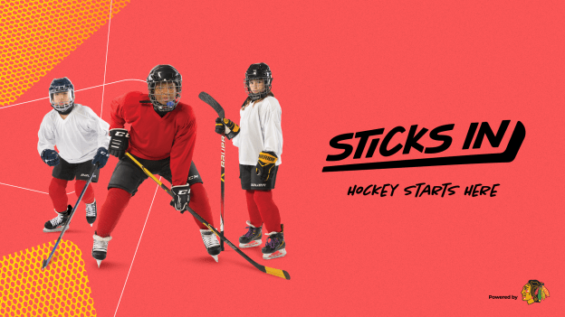 Sticks In