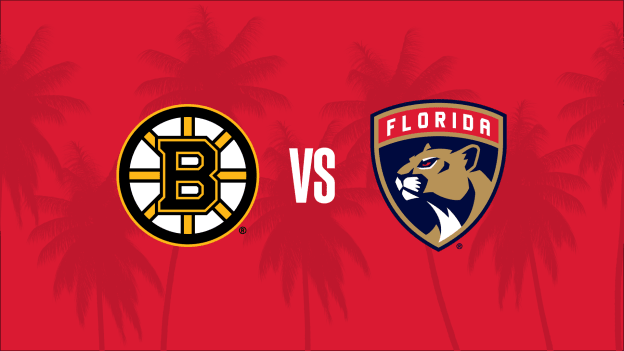 Single Game - Bruins - 1/11