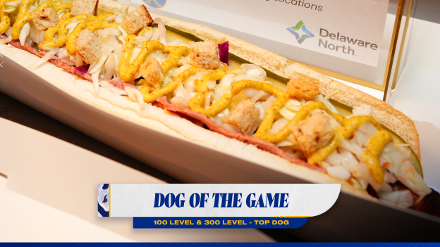 DOG OF THE GAME - WEB