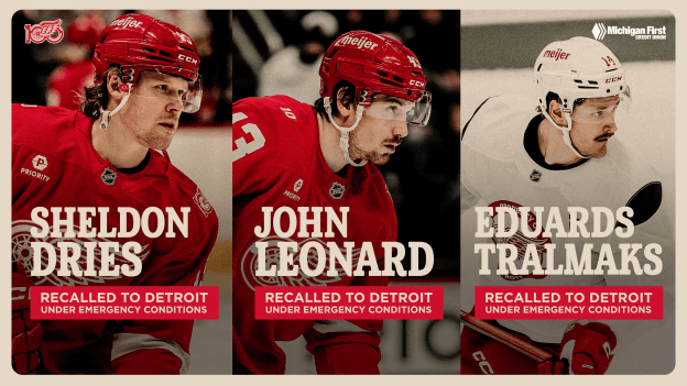 Red Wings recall Sheldon Dries, John Leonard and Eduards Tralmaks from Grand Rapids under emergency conditions