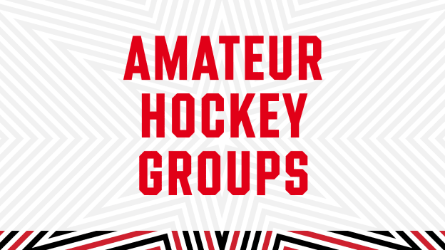 Amateur Hockey Groups