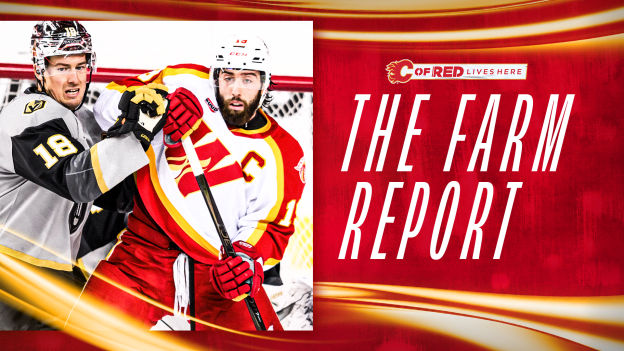 The Farm Report - 13.11.24 