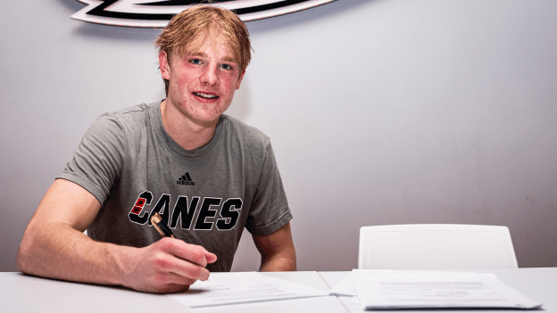 View: Hurricanes Contract Tracker