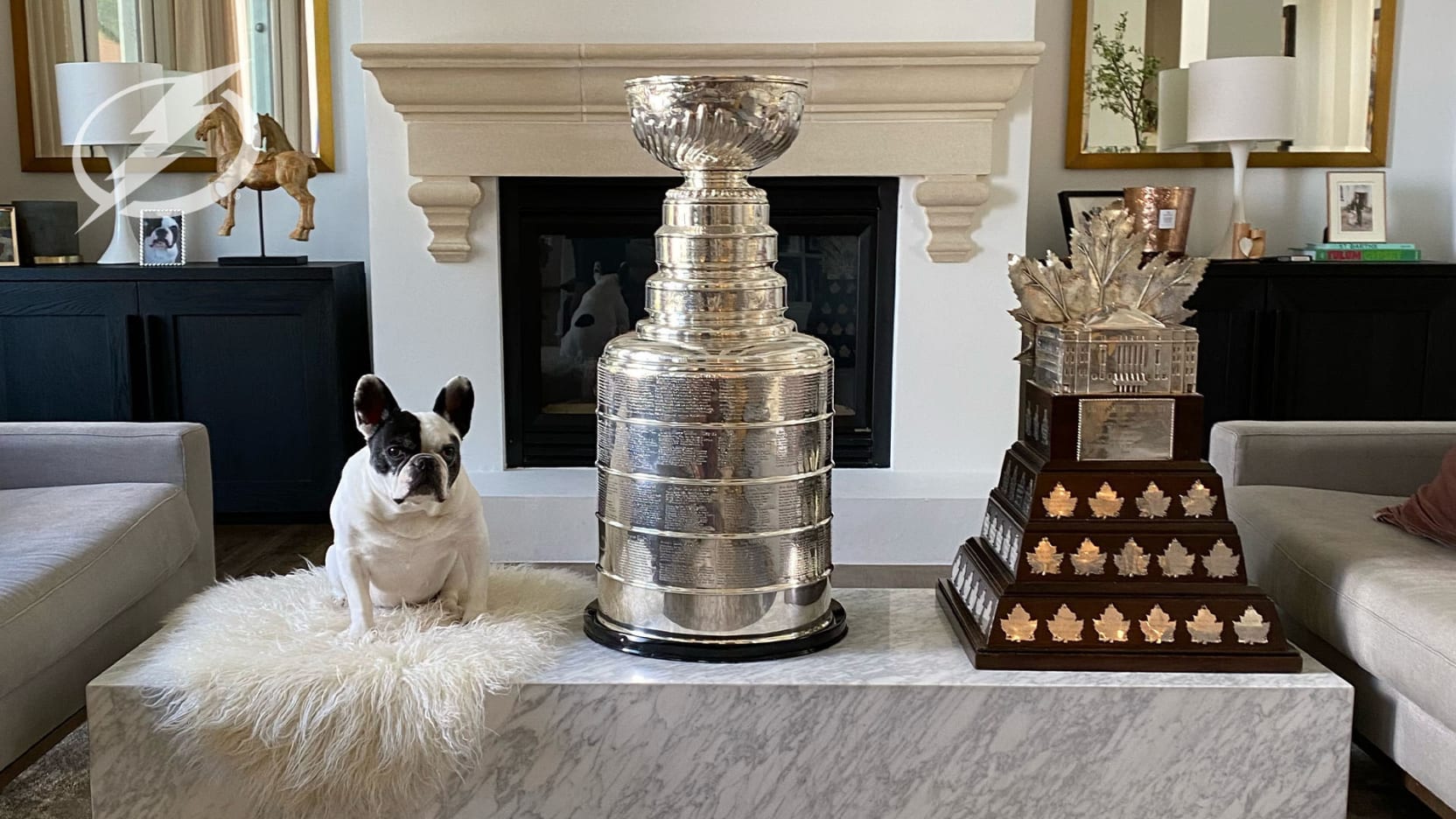 More than a dog: Harry Hedman saved thousands of humane society pets in 14 years of life