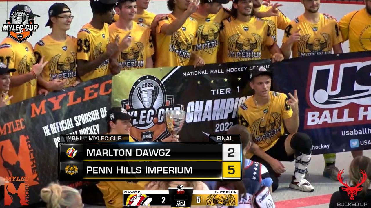 National Ball Hockey League