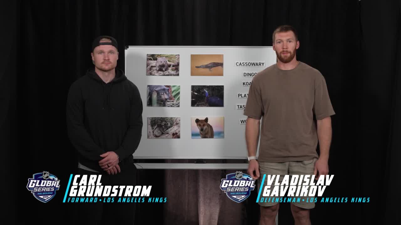 NHL players guess the animals