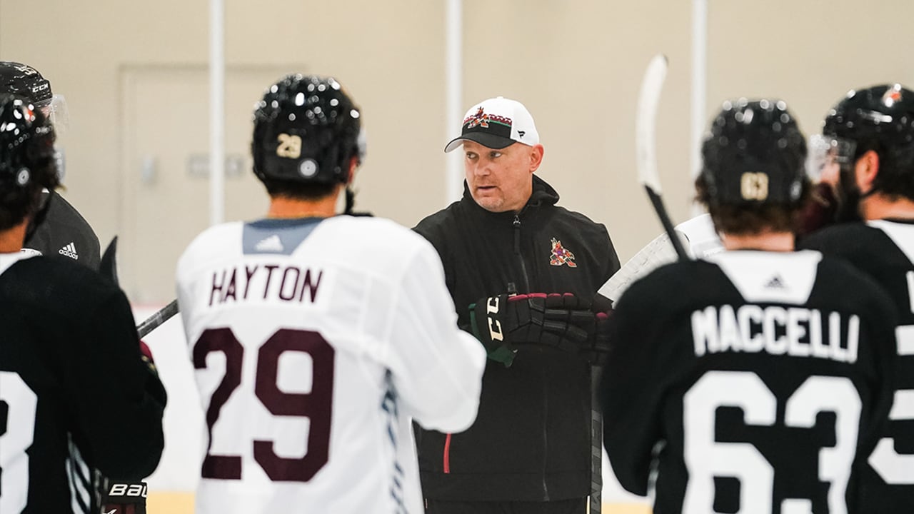 Coyotes Release Training Camp Schedule - The Hockey News Arizona Coyotes  News, Analysis and More