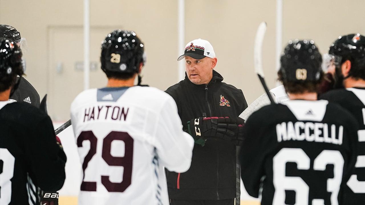 Arizona Coyotes hold local youth hockey camps