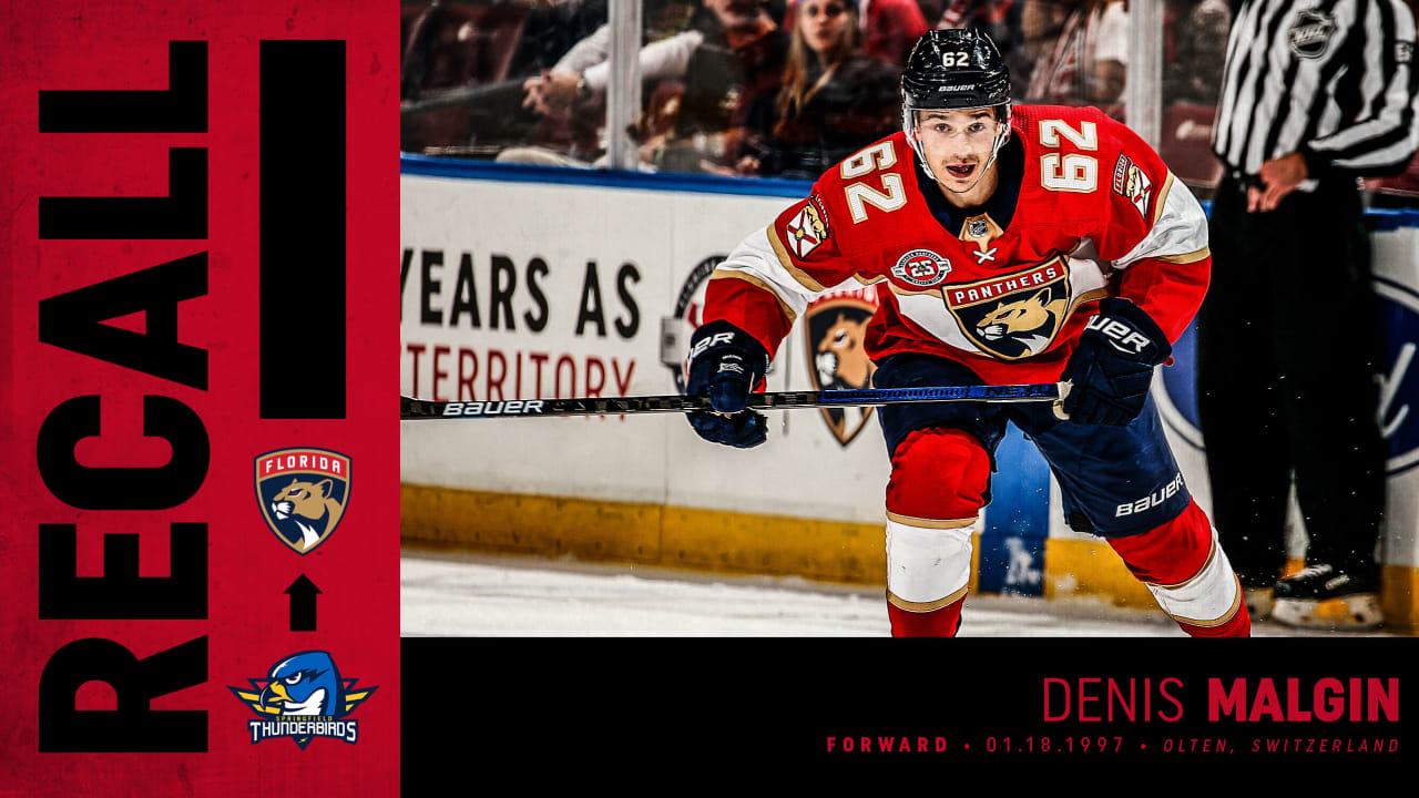 Florida Panthers Recall Forward Denis Malgin from Springfield (AHL)