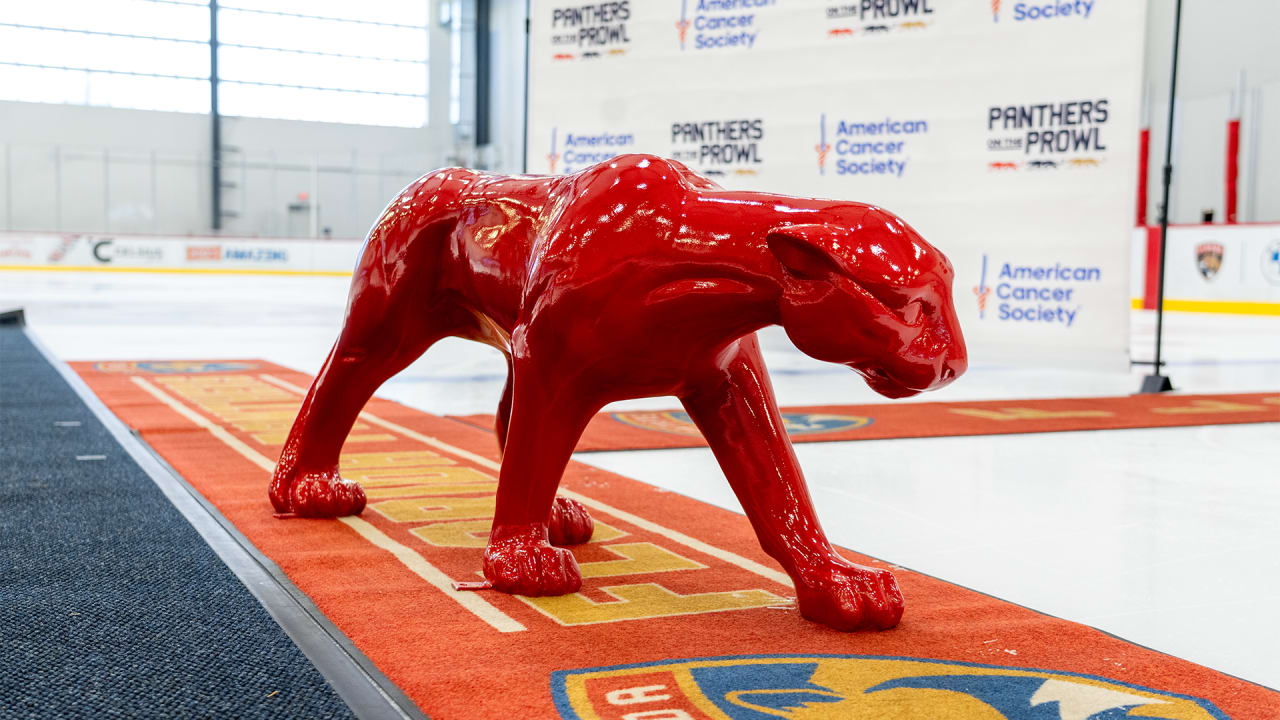 Panthers on the Prowl: ‘A symbol of strength and perseverance’ | Florida Panthers