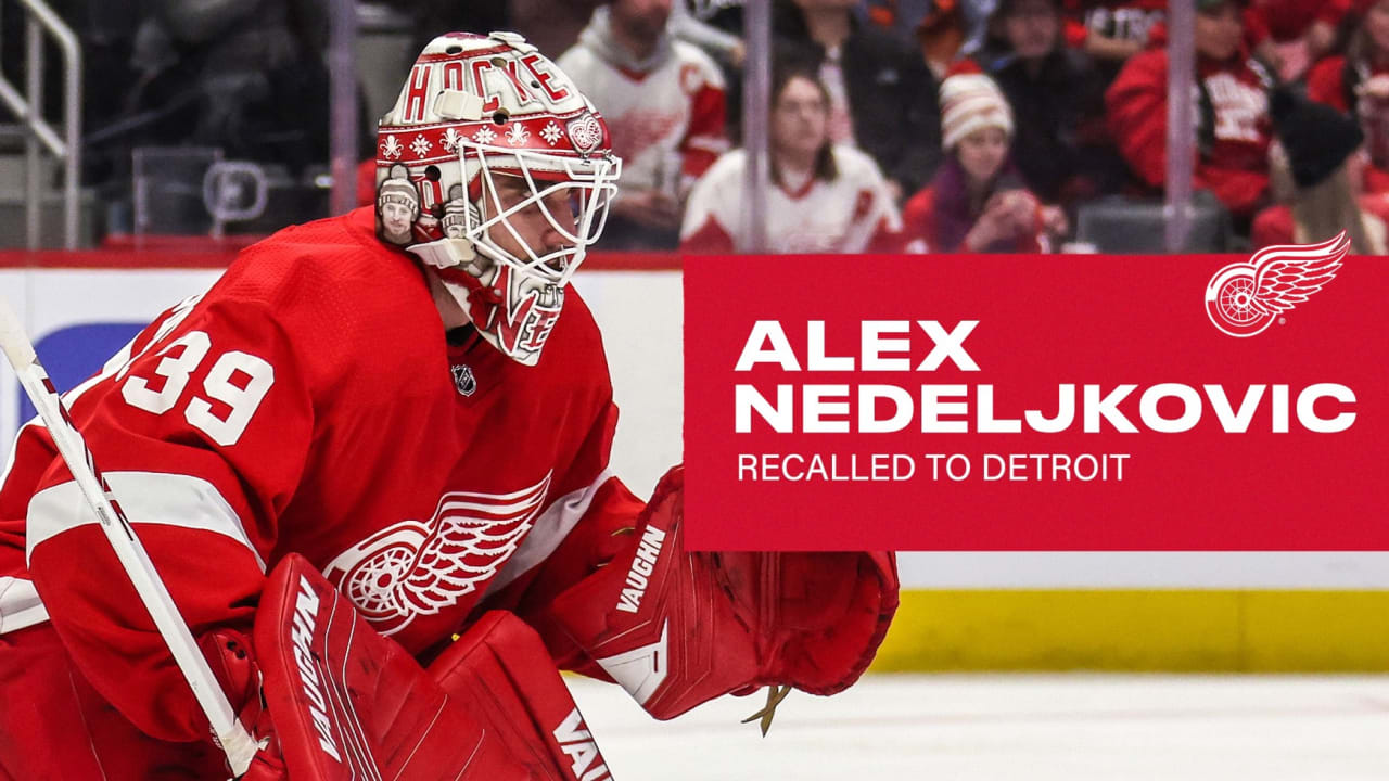 Detroit Red Wings recall Alex Nedeljkovic on emergency loan