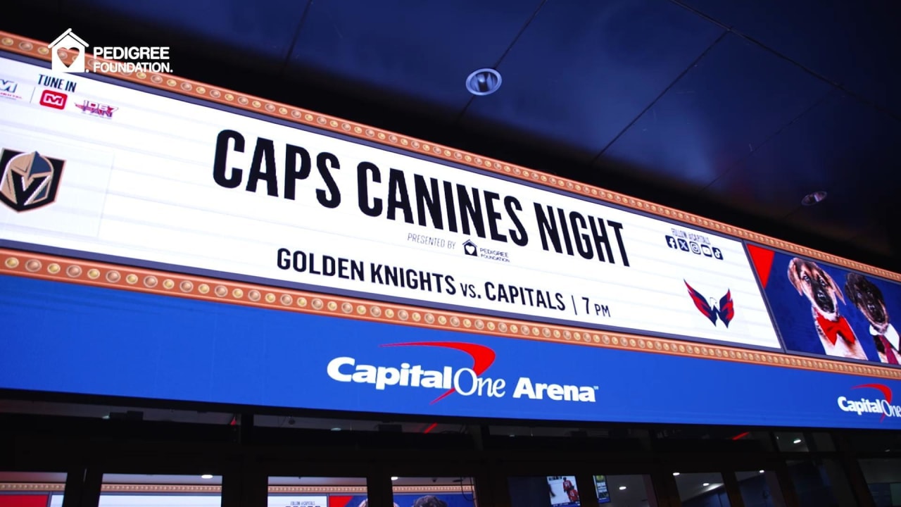 Caps Canine Night 2023 Washington Capitals