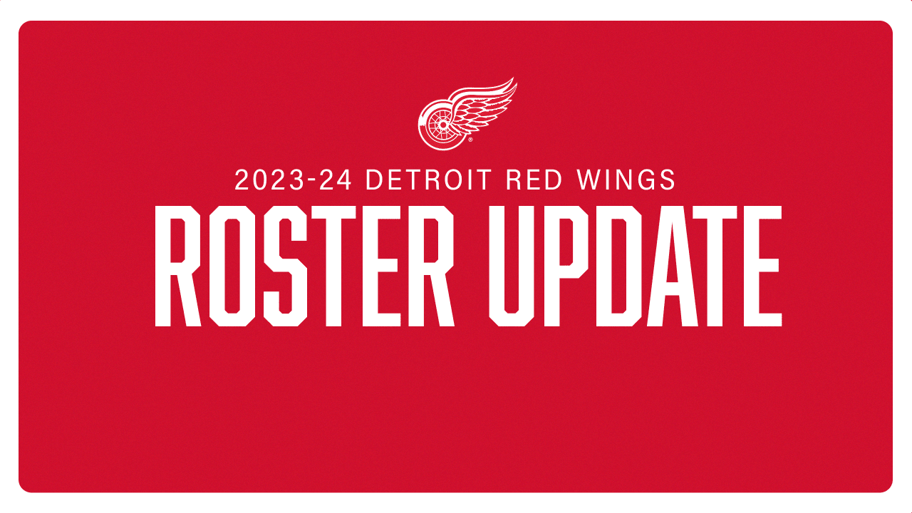 Latest Updates on Detroit Red Wings Training Camp Roster and Preseason