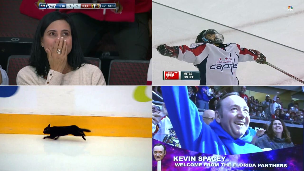Top NHL viral moments of 2016 | NHL.com