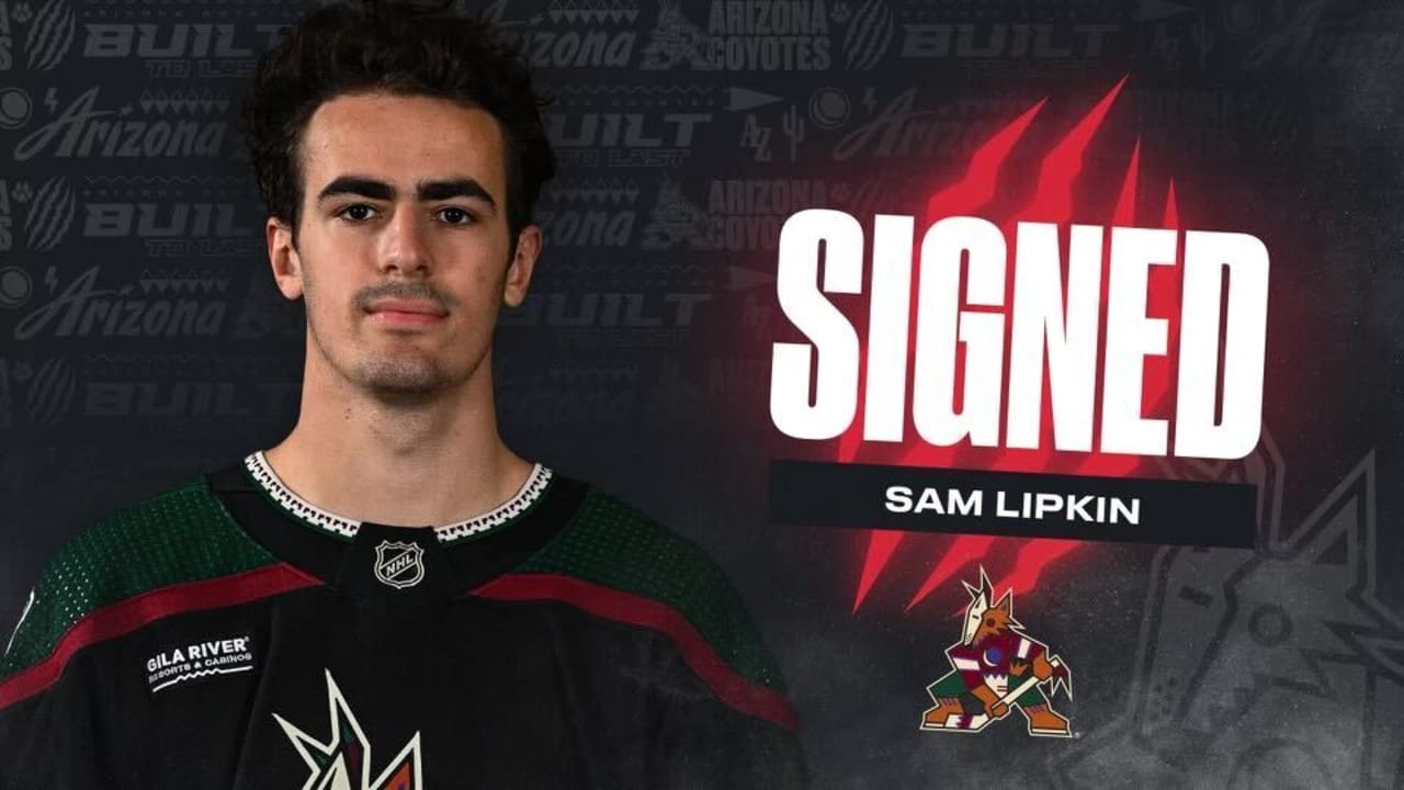 Arizona Coyotes Sign Forward Sam Lipkin: College Standout Joins Tucson Roadrunners on Entry-Level Deal