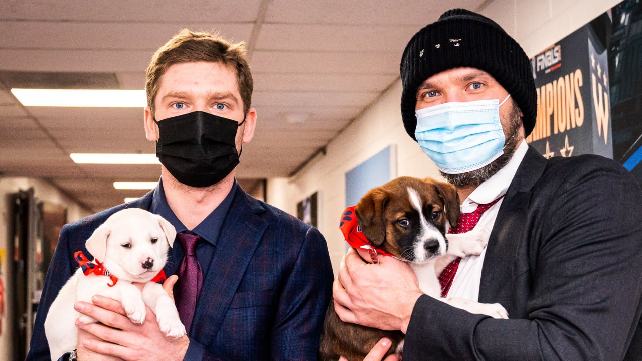 Capitals enter arena in adorable fashion, carrying armfuls of puppies