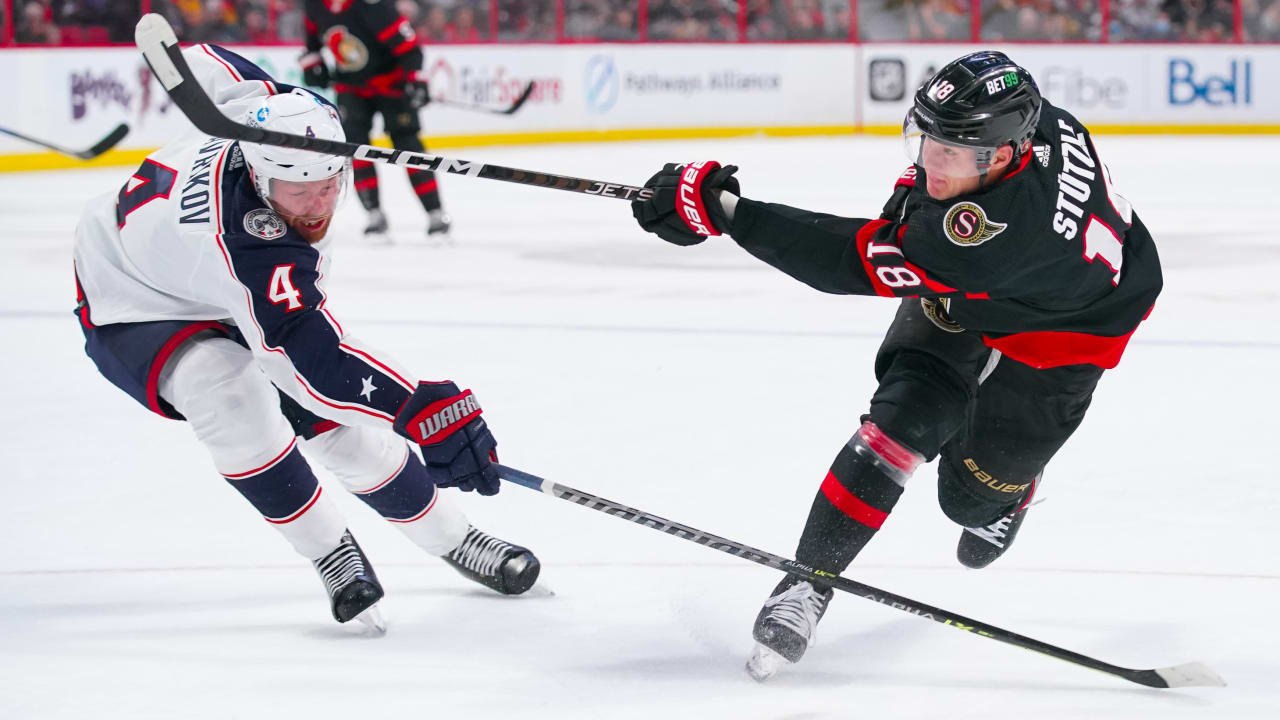 2017 Stanley Cup Playoffs Ottawa Senators Official NHL Hockey Puck