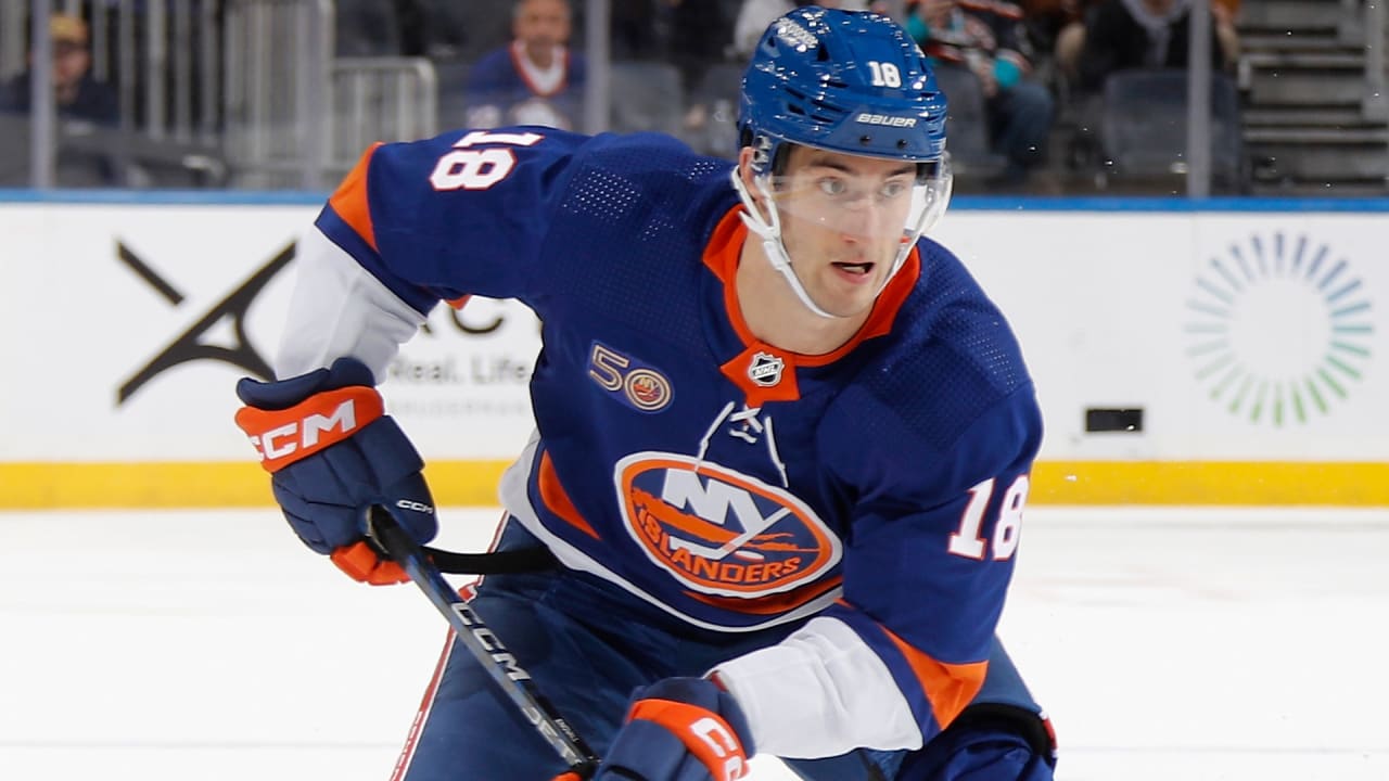 Islanders' 2023-24 Season Preview: Familiar faces, playoff asipirations,  and more