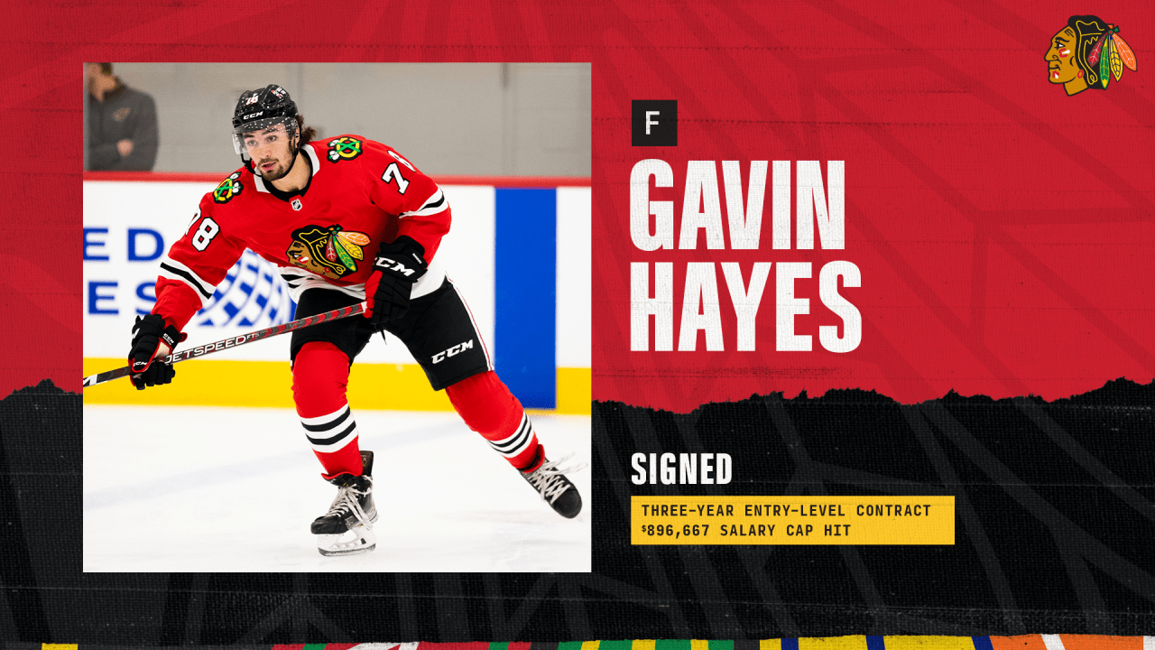 Blackhawks sign prospect Gavin Hayes to entry-level contract – NBC Sports  Chicago