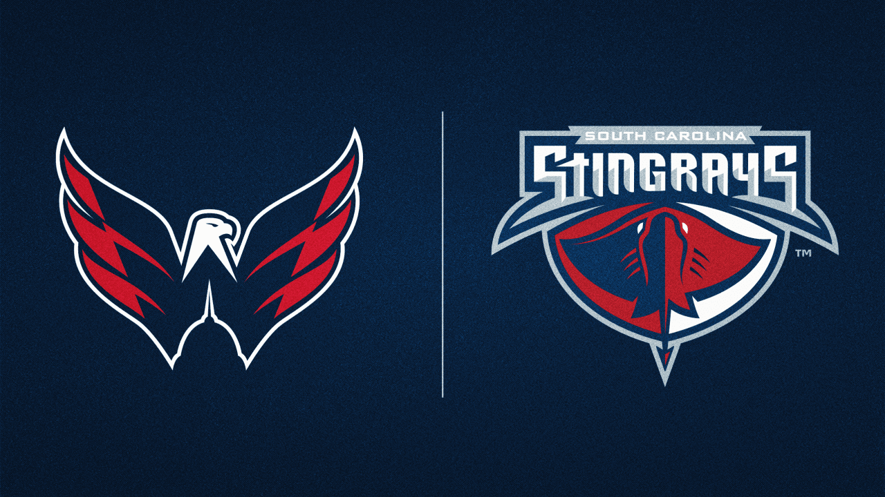 Capitals Extend ECHL Affiliation with South Carolina Stingrays