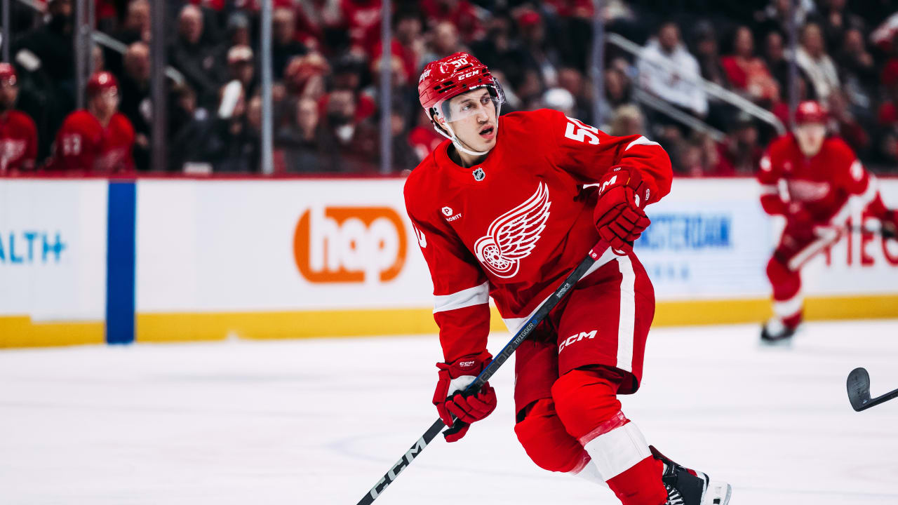 Shine’s NHL debut with Red Wings a story of hard work, perseverance paying off | Detroit Red Wings
