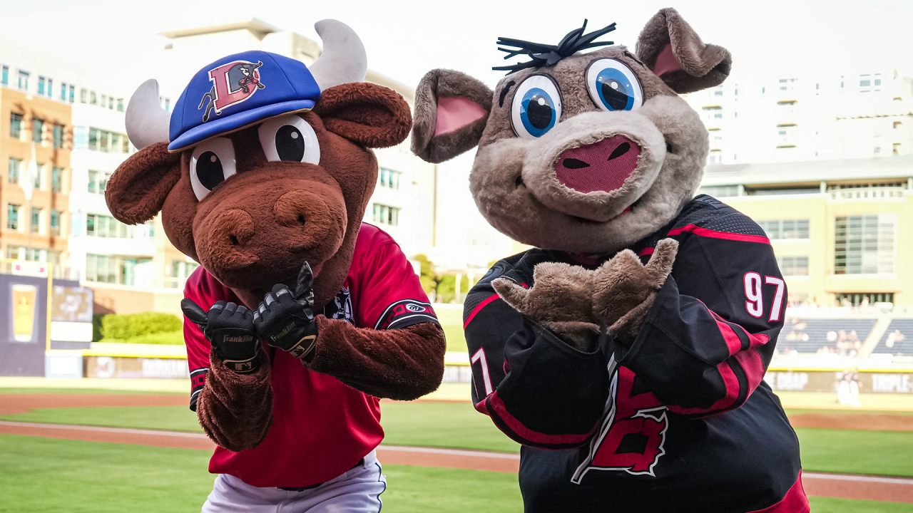 Durham Bulls To Host Canes-Themed "Hockey Night" On September 12