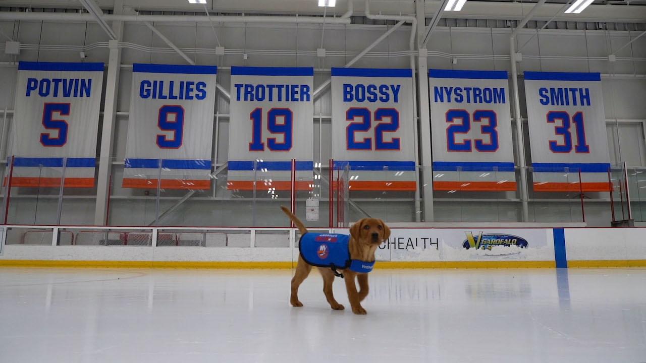 Islanders Puppy Calendar Shoot New York Islanders