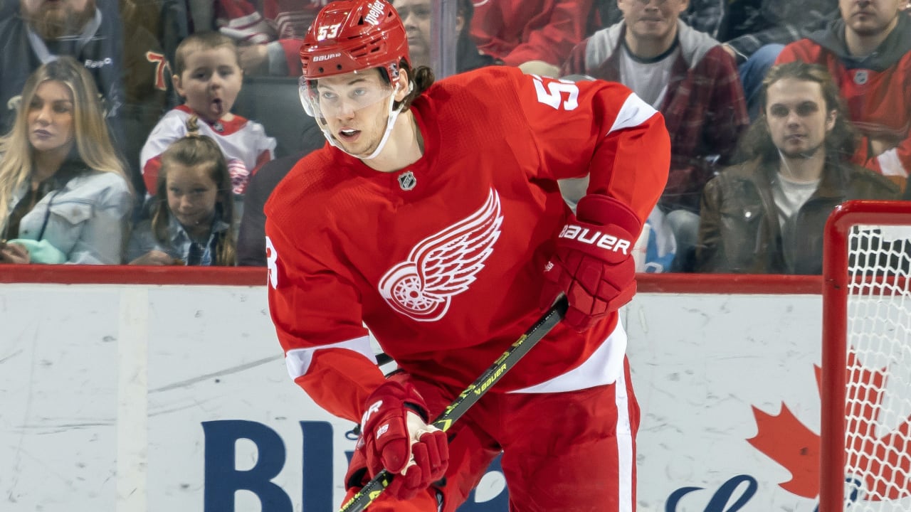 Die Top 5 Prospect Pools der NHL