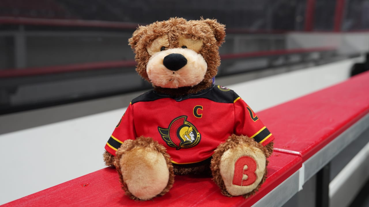 Brickley Bears to be available for purchase Tuesday night at