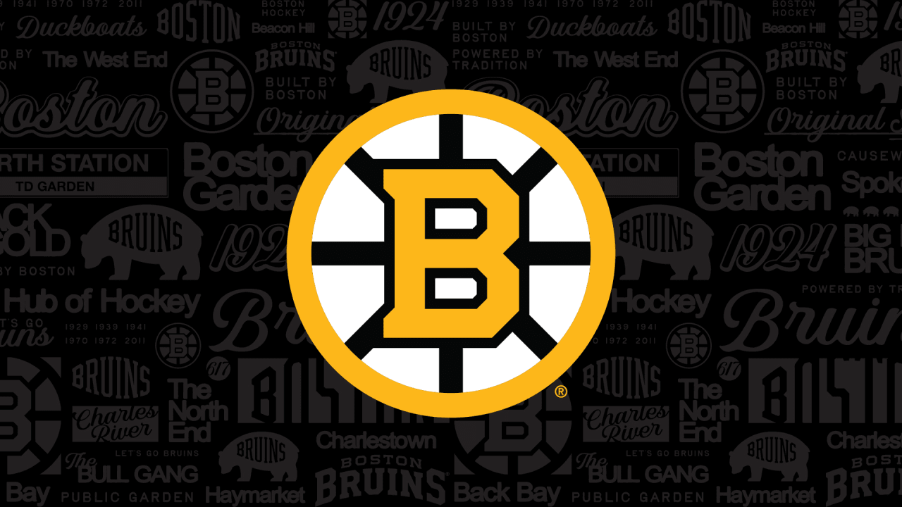 www.nhl.com
