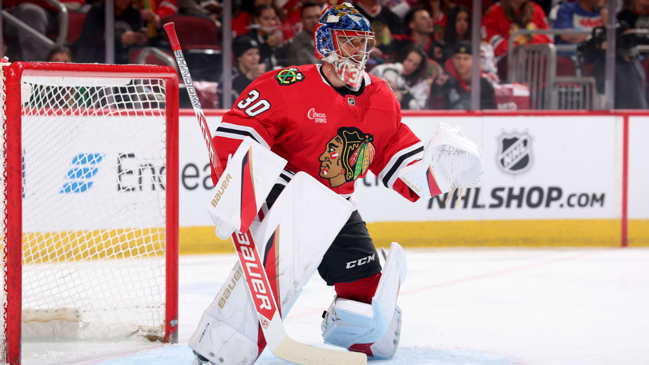 High-Quality Hawks Vs. Kings (25 Dec, 2025) Live Score View Nature High-Quality Hawks Vs. Kings (25 Dec, 2025) Live Score View Nature