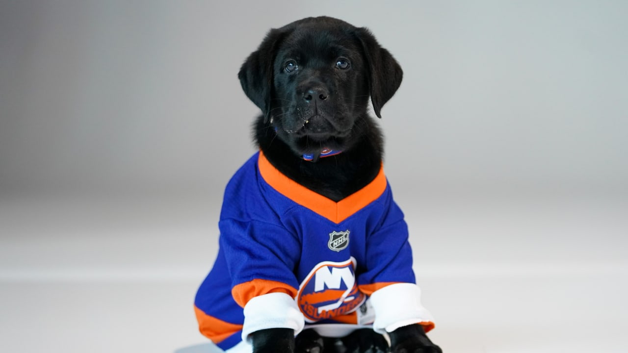 Guide Dog Raised By New York Islanders Matched with Paralympian