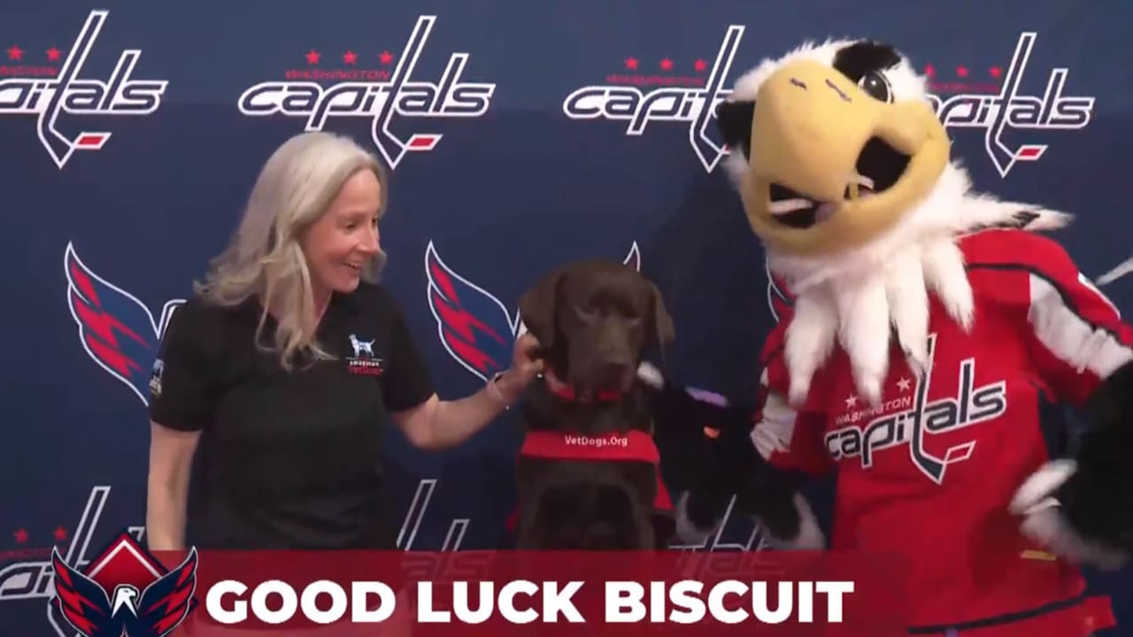 Capitals celebrate team dog's last game