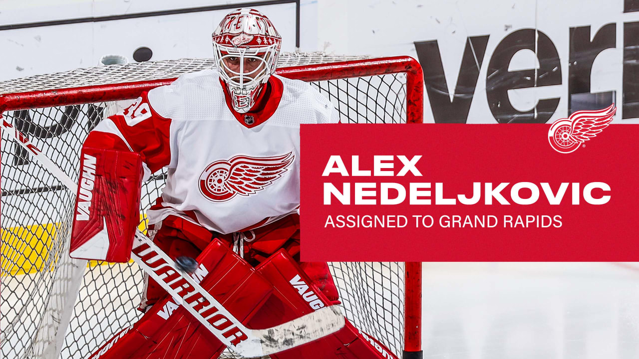 Download Detroit Red Wings Alex Nedeljkovic Wallpaper
