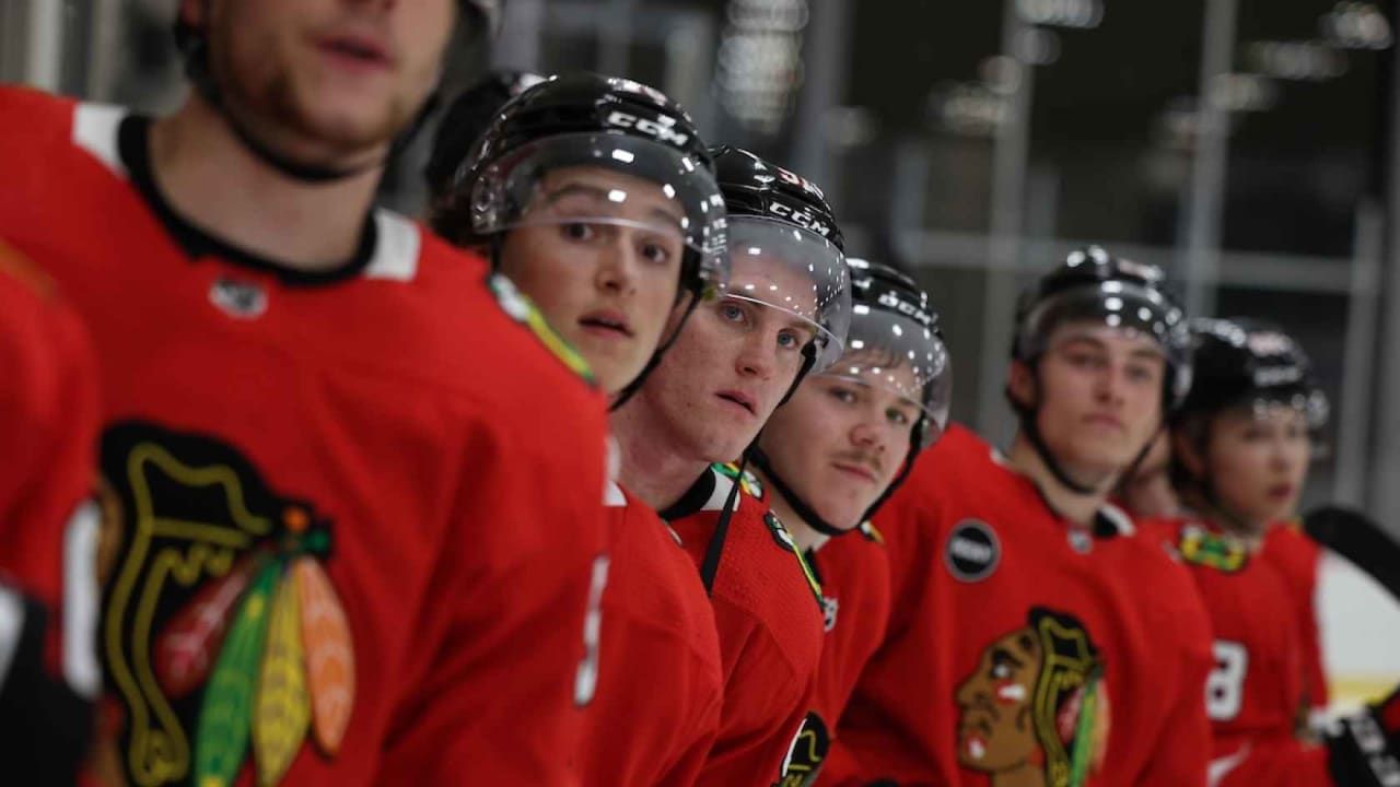 For the Blackhawks' prospect development with the IceHogs