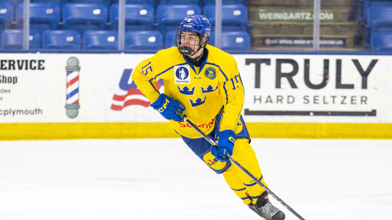 Anton Frondell | Prospect Profile | New York Islanders