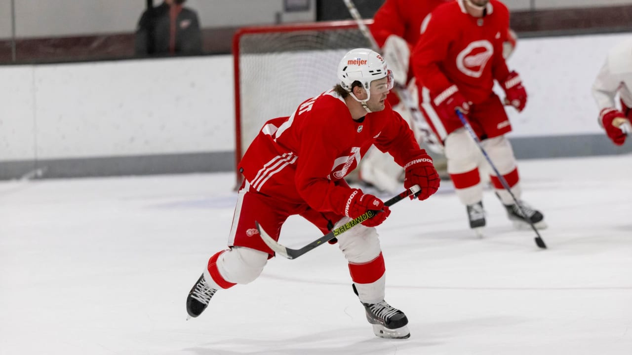 Red Wings notes: David Perron looks to be difference-maker in Detroit