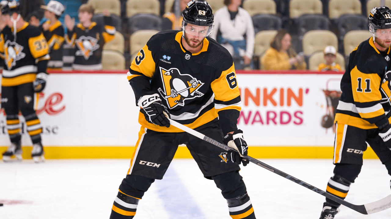 Pittsburgh Penguins: Breaking down how Radim Zohorna fits on team