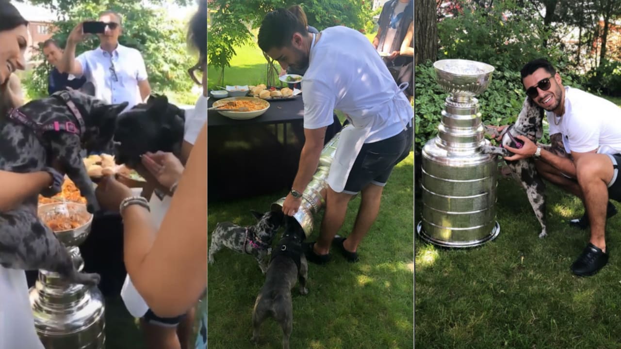 Fabbri's dogs eat pasta, meatballs from Stanley Cup
