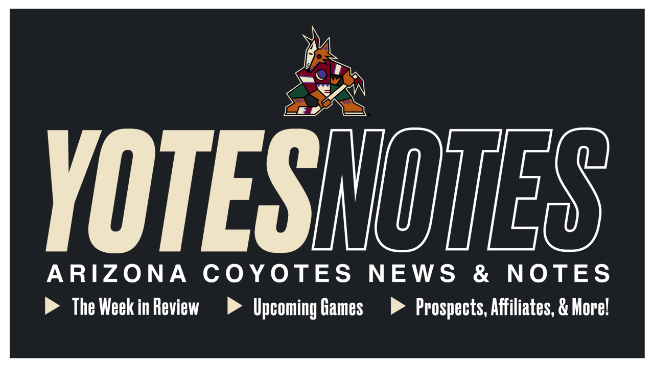 Arizona Coyotes 2023-24 season preview: Playoff chances, projected