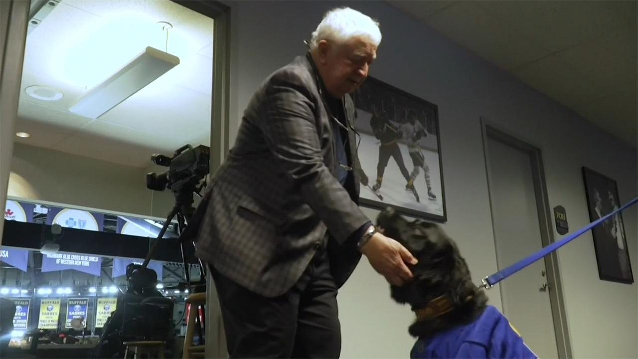 Sabres proudly introduce Rick as the franchise's 1st team dog