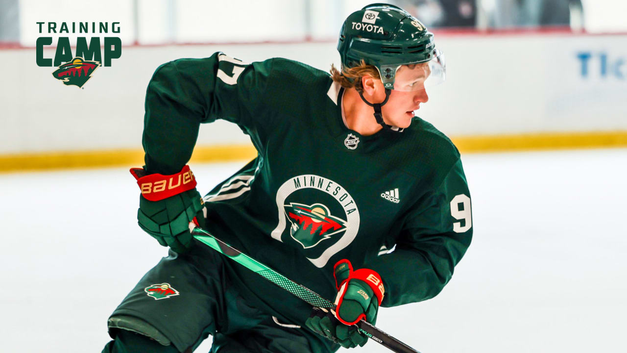 30 IN 30 Expansion Preview - Minnesota Wild — Pressbox Forward