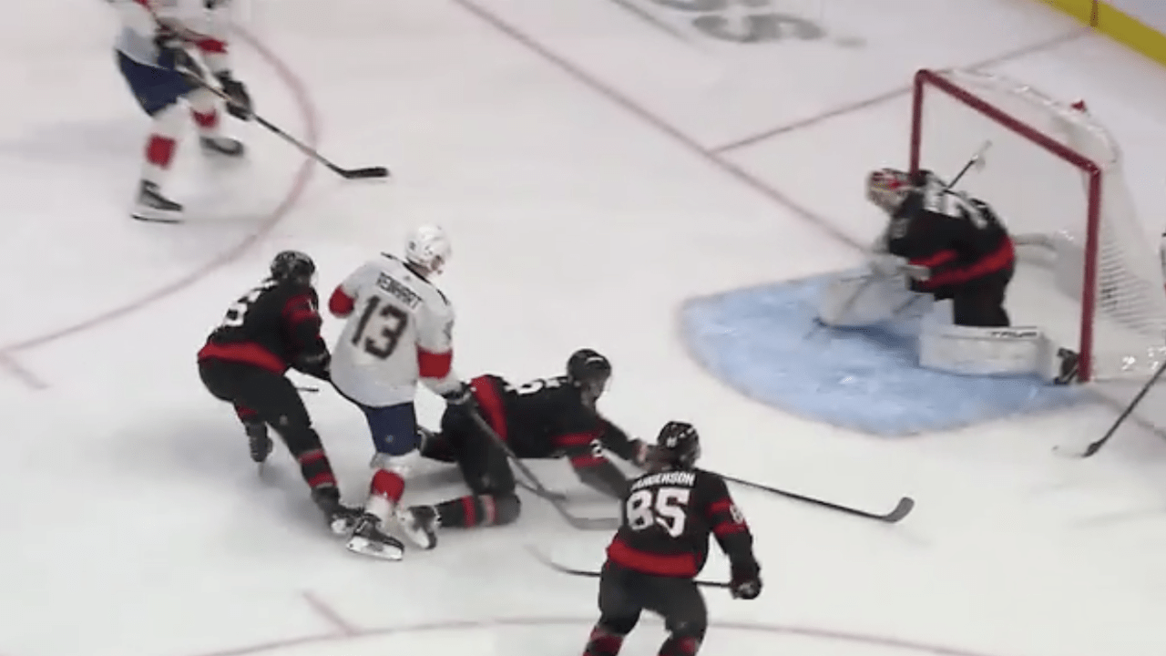 Reinhart nets opening PPG