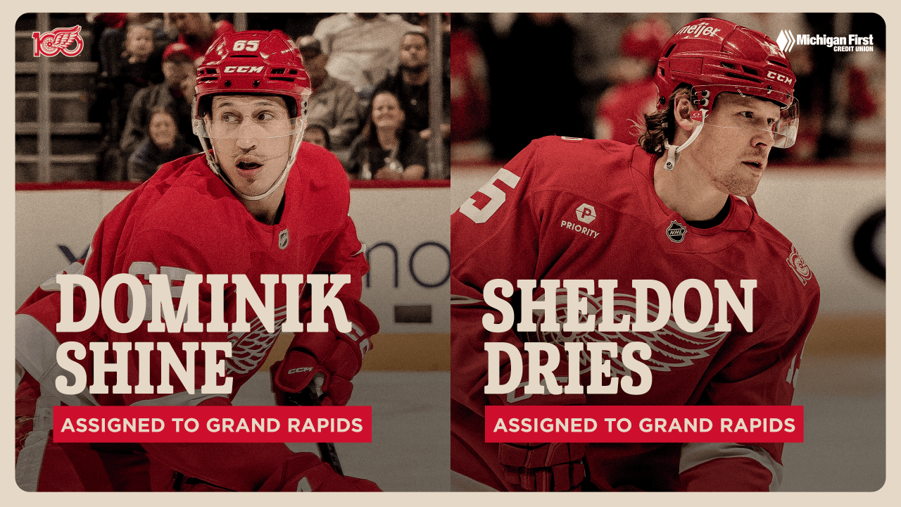 Red Wings assign Dominik Shine and Sheldon Dries to Grand Rapids ...