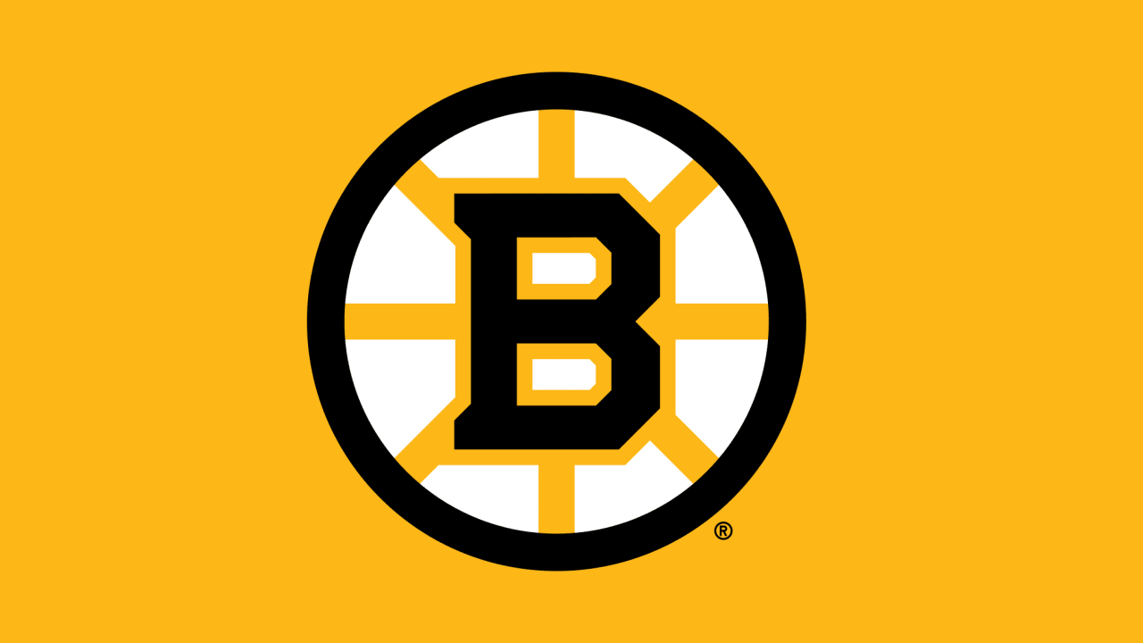 Boston Bruins retro jersey