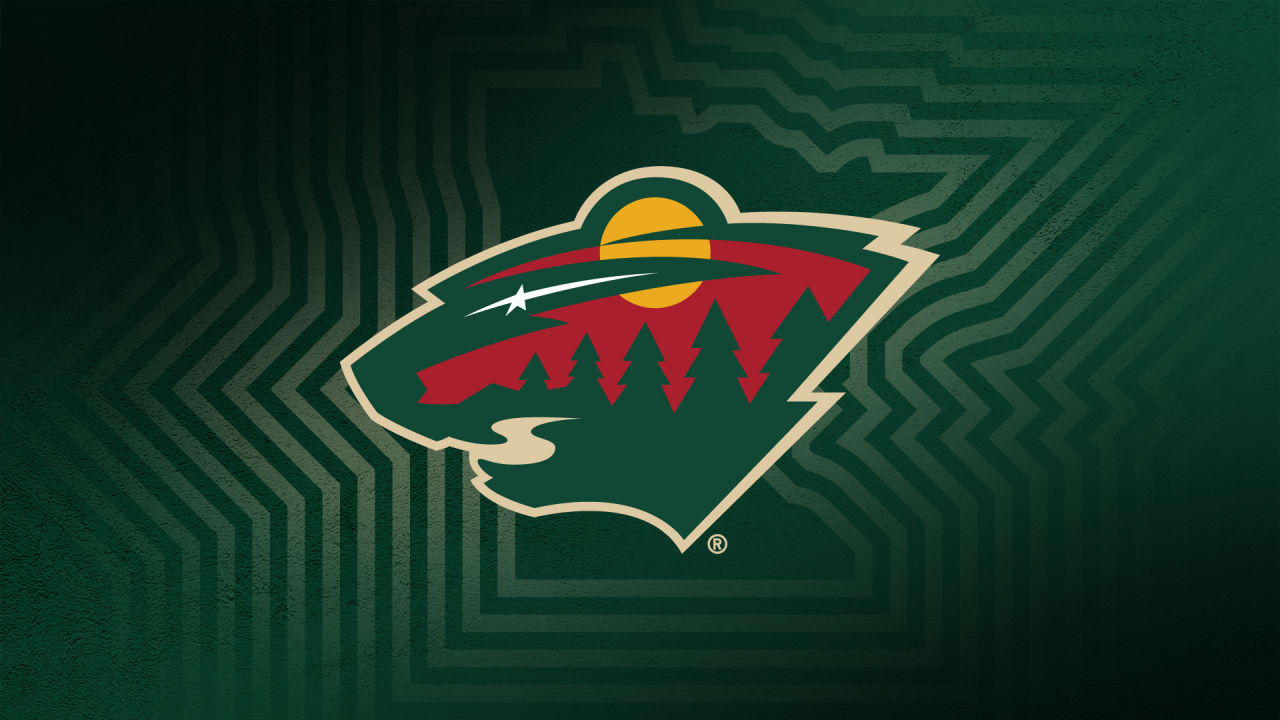 Best Place to Buy Minnesota Wild Tickets: Your Ultimate Guide - The  Stadiums Guide