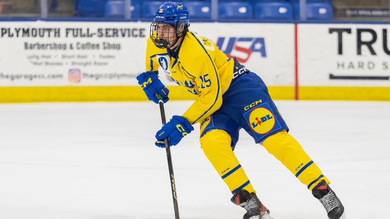 2025 NHL Draft: Central Division needs | NHL.com