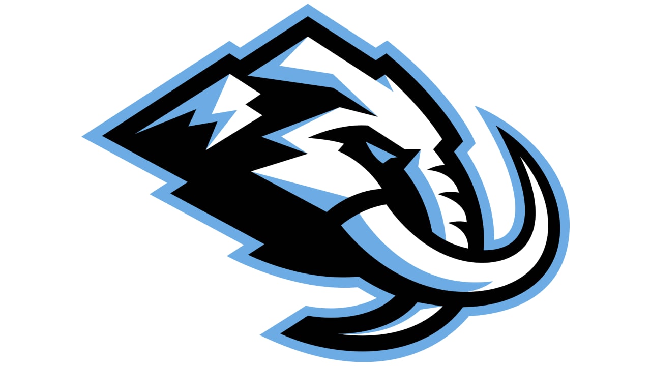 SEG Partners with Fanatics to Transform Shopping Experiences | Utah Mammoth
