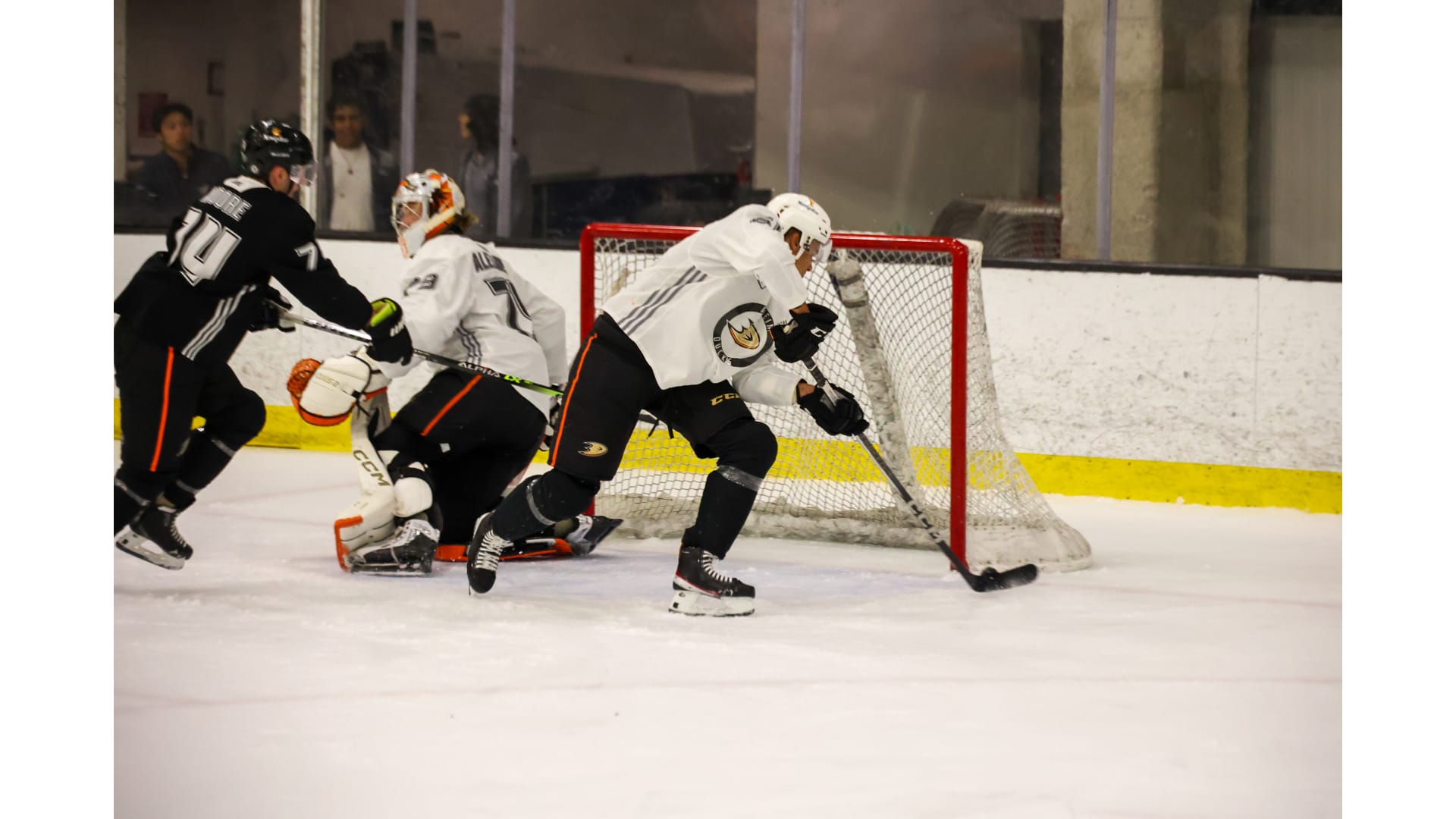 Ducks Development Camp Anaheim Ducks