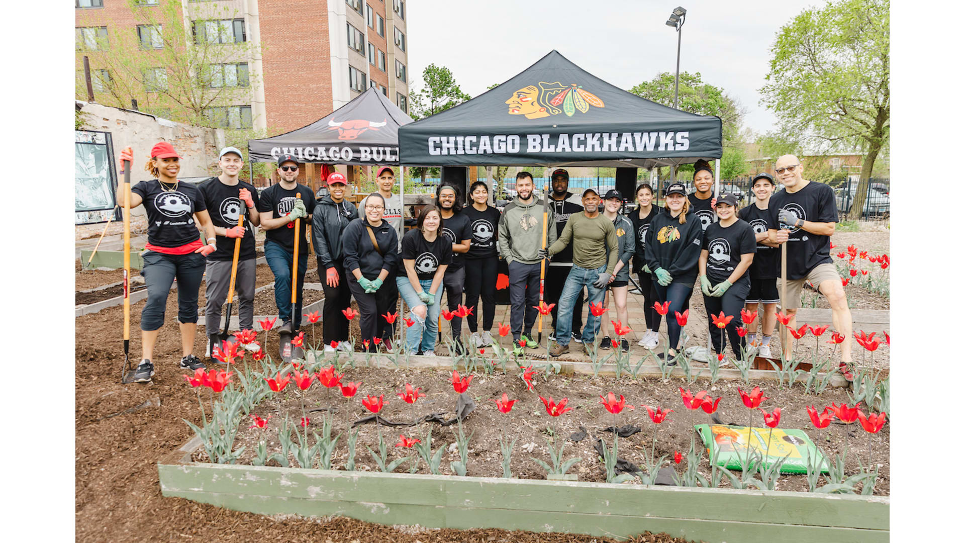Bronzeville Community Garden Cleanup Chicago Blackhawks